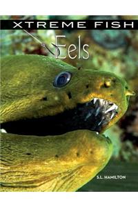 Eels