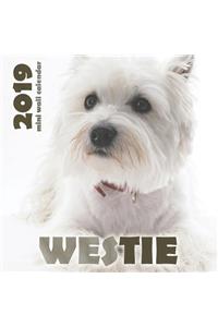 Westie 2019 Mini Wall Calendar