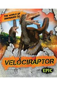 Velociraptor