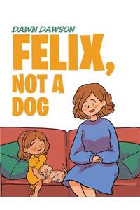 Felix, Not a Dog