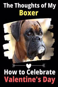 Thoughts of My Boxer