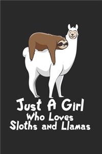 Faultier reitet auf Lama Notizbuch