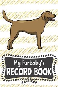 My Furbaby's Record Book