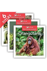 Rain Forest Animals (Set)