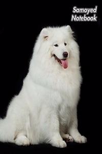 Samoyed Notebook