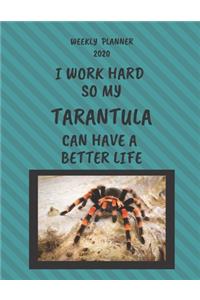 Tarantula Weekly Planner 2020