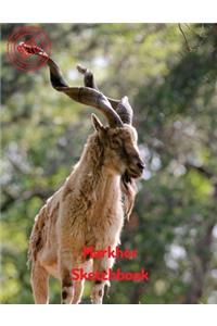 Markhor Sketchbook