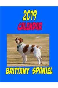 2019 Calendar Brittany Spaniel