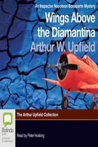 Wings Above the Diamantina