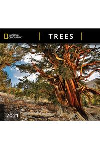 Cal 2021- National Geographic Trees Wall