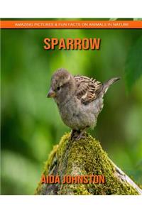 Sparrow: Amazing Pictures & Fun Facts on Animals in Nature