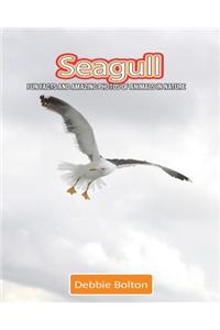 Seagull: Fun Facts and Amazing Photos of Animals in Nature