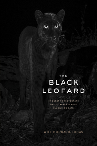 Black Leopard