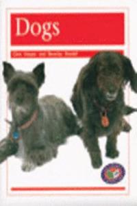 Dogs PM Non Fiction Animal Facts Level 14&15 Pets Orange