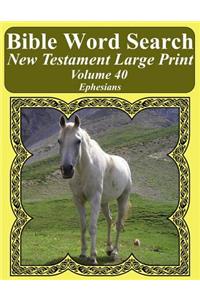 Bible Word Search New Testament Large Print Volume 40