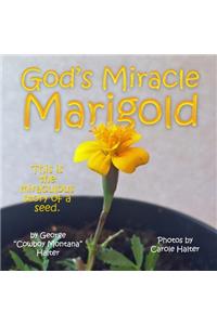 God's Miracle Marigold