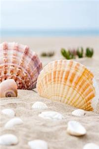 Seashells at the Shore Journal