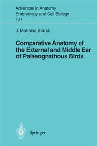 Comparative Anatomy of the External and Middle Ear of Palaeognathous Birds