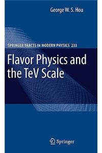 Flavor Physics and the TeV Scale