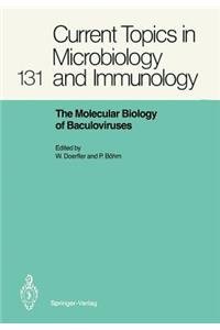 Molecular Biology of Baculoviruses