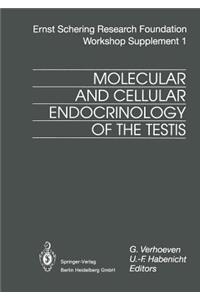 Molecular and Cellular Endocrinology of the Testis