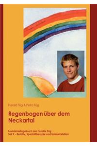 Regenbogen über dem Neckartal