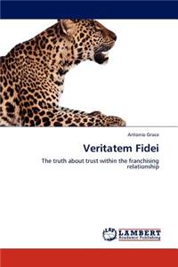 Veritatem Fidei