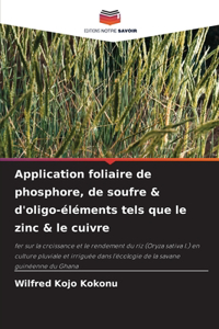 Application foliaire de phosphore, de soufre & d'oligo-éléments tels que le zinc & le cuivre