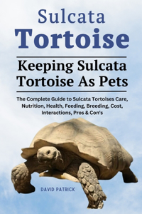 Sulcata Tortoise