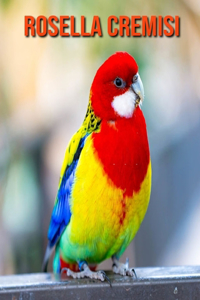 Rosella cremisi