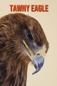 Tawny Eagle