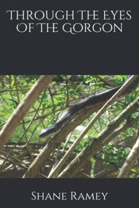 Through The Eyes Of The Gorgon