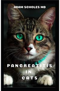 Pancreatitis in Cats