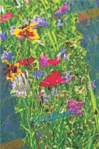 Wildflowers