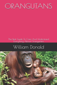 Orangutans