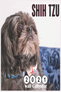 Shih Tzu 2021 Wall Calendar