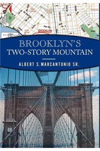 Brooklyn's Two-Story Mountain
