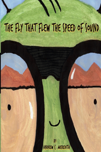Fly That Flew The Speed of Sound