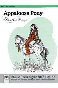 Appaloosa Pony