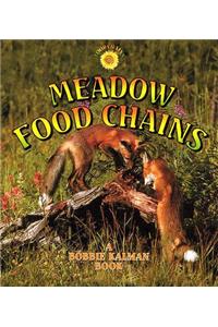 Meadow Food Chains
