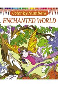 Color by Numbers: Enchanted World