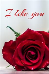 I like you