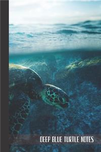 deep blue turtle notes
