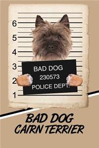 Bad Dog Cairn Terrier
