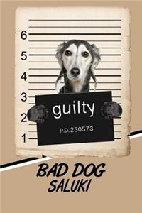 Bad Dog Saluki