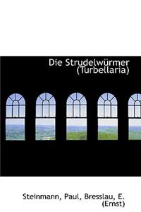 Die Strudelwurmer (Turbellaria)