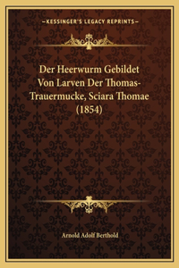 Heerwurm Gebildet Von Larven Der Thomas-Trauermucke, Sciara Thomae (1854)