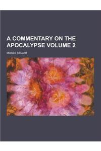 A Commentary on the Apocalypse Volume 2