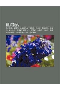 D N Zhen Gu N Nei