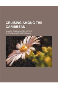 Cruising Among the Caribbean; Summer Days in Winter Months